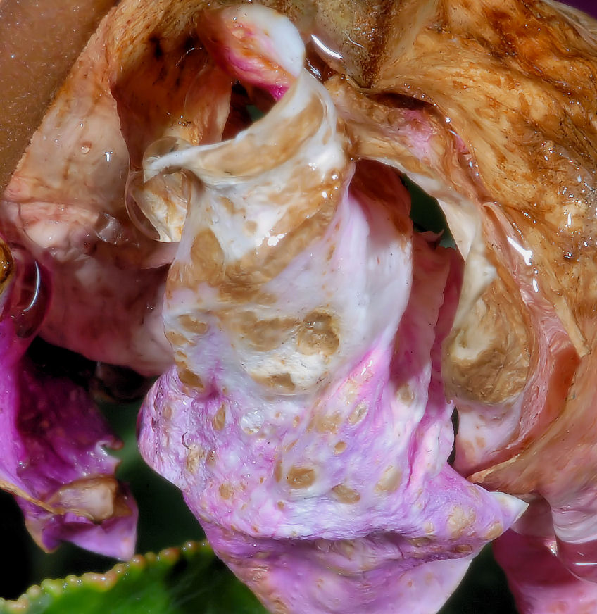 Contrapposizione.....!